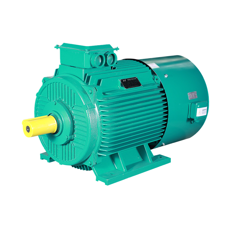 YPT serija Trofazni indukcijski motor (H80-355 mm)