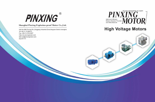 Shanghai Pinxing Motor-Co.